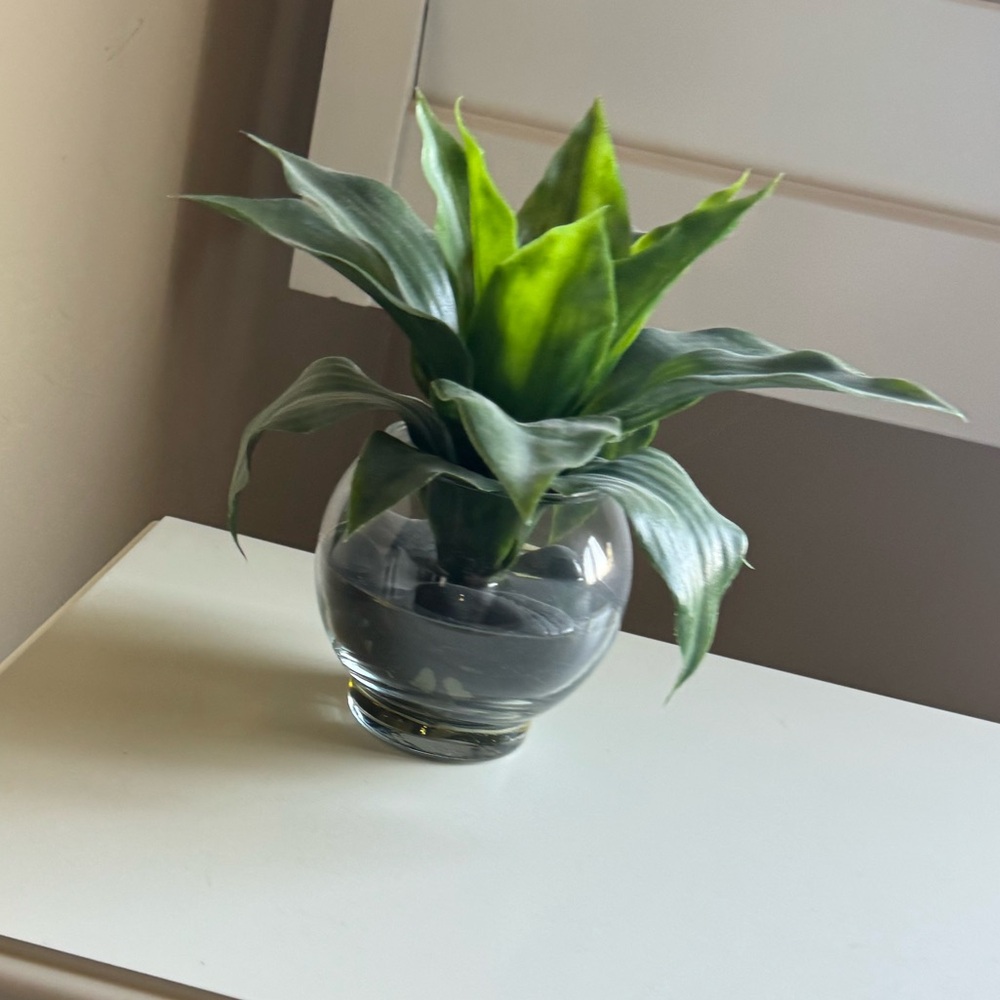 Set of faux plants greens in glass vases